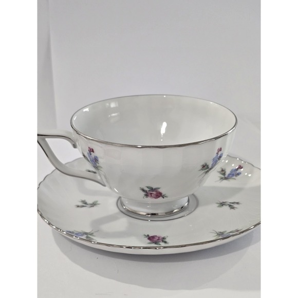 Königlich Tettau Other - Vintage Royal Tettau Dresden Flowers Platinum Trim Footed Cup & Saucer